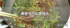 春芽为什么要焯水