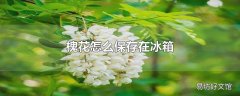 槐花怎么保存在冰箱