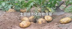 土豆碳水化合物含量