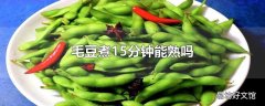 毛豆煮15分钟能熟吗