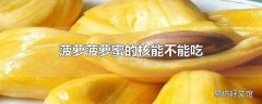 菠萝菠萝蜜的核能不能吃