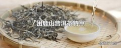 困鹿山普洱茶特点