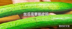 丝瓜需要削皮吗