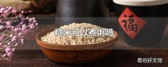 糙米可以煮粥吗