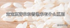 宝宝胚芽米和普通米有什么区别