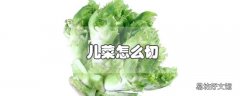 儿菜怎么切