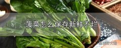 菠菜怎么保存新鲜不烂