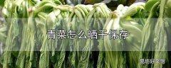 青菜怎么晒干保存