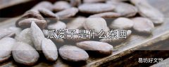 瓜蒌子是什么东西