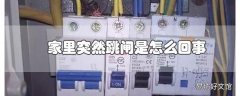 家里突然跳闸是怎么回事