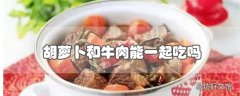 胡萝卜和牛肉能一起吃吗