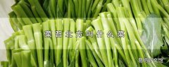 菜苔北方叫什么菜