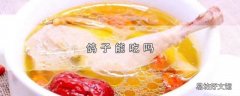 鸽子能吃吗