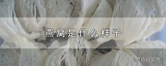 燕窝是什么样子