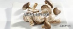 新鲜香菇怎么保存