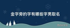 金字旁的字有哪些字男取名