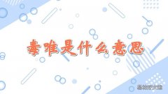 毒唯是什么意思