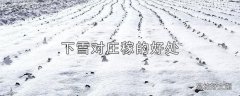 下雪对庄稼的好处