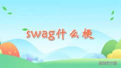 swag什么梗