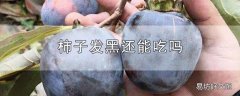 柿子发黑还能吃吗