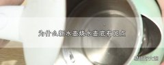 为什么新水壶烧水壶底有斑点