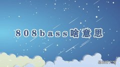 808bass啥意思