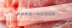 羊肉冷冻一年还能吃吗