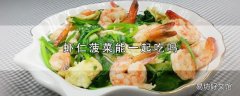 虾仁菠菜能一起吃吗