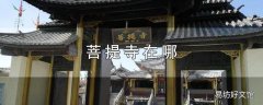 菩提寺在哪