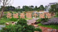 花城是哪个城市