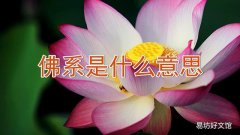 佛系是什么意思