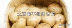 土豆能不能放冰箱