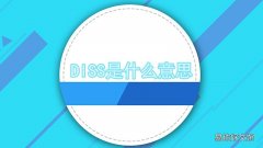 diss是什么意思中文