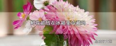 鲜花能放在冰箱里冷藏吗