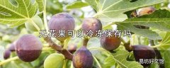 无花果可以冷冻保存吗