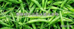 青辣椒可以放冰箱冷冻吗