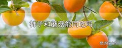 柿子和蘑菇能同吃吗