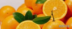 冬天橙子怎样保存不容易坏