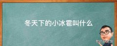 冬天下的小冰雹叫什么