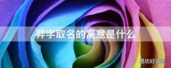 羿字取名的寓意是什么