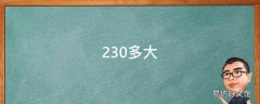 230多大