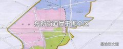 东新街道属于哪个区