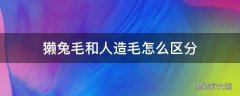 獭兔毛和人造毛怎么区分