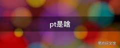 pt是啥