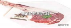 羊前腿贵还是后腿