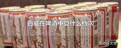 百威在啤酒中算什么档次