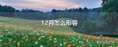 12月怎么形容