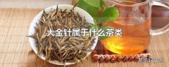 大金针属于什么茶类