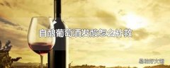 自酿葡萄酒发酸怎么补救