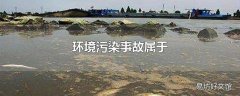 环境污染事故属于